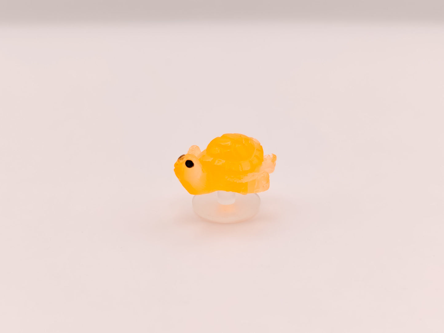 Mini Turtle Clog Charms