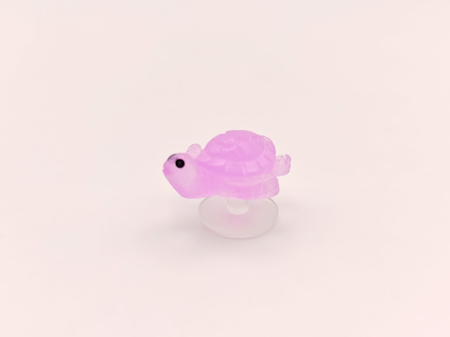 Mini Turtle Clog Charms