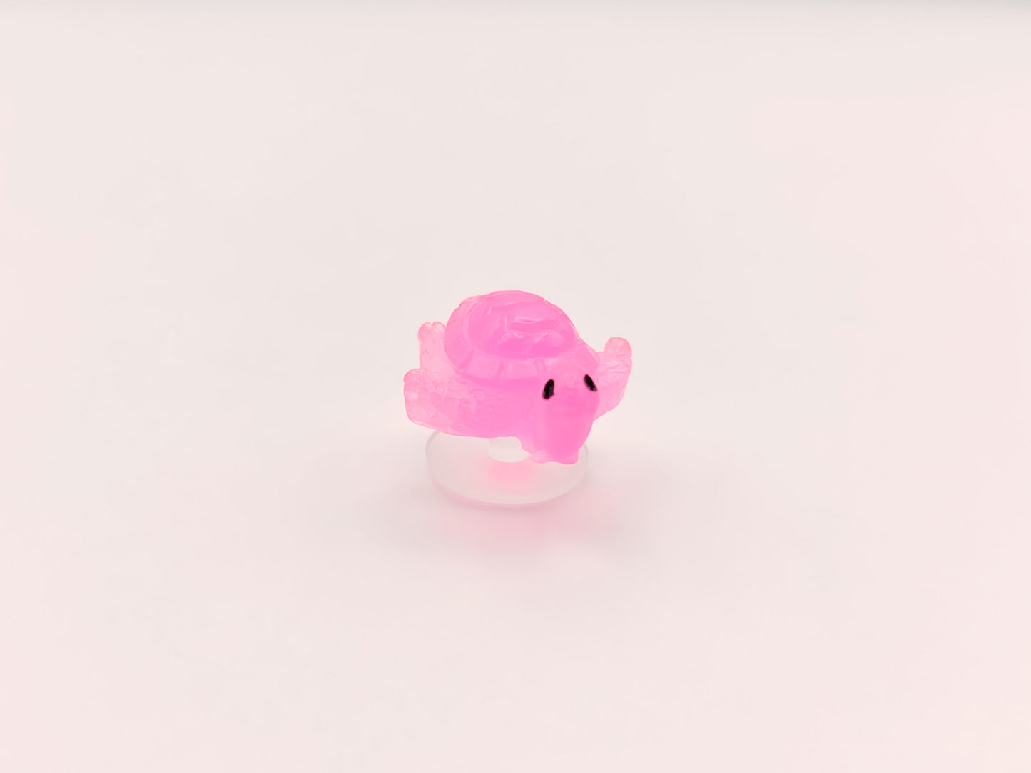 Mini Turtle Clog Charms