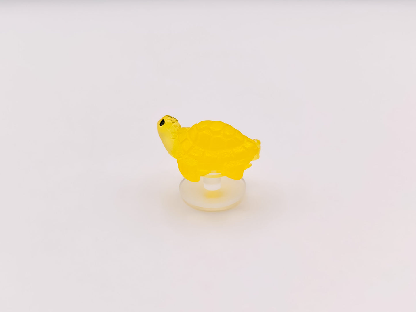 Mini Turtle Clog Charms