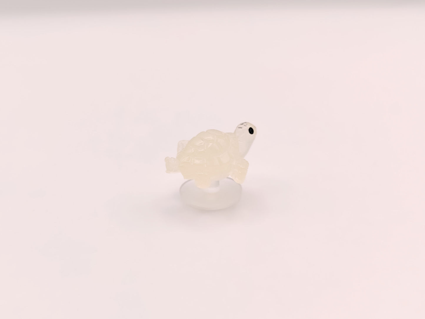 Mini Turtle Clog Charms