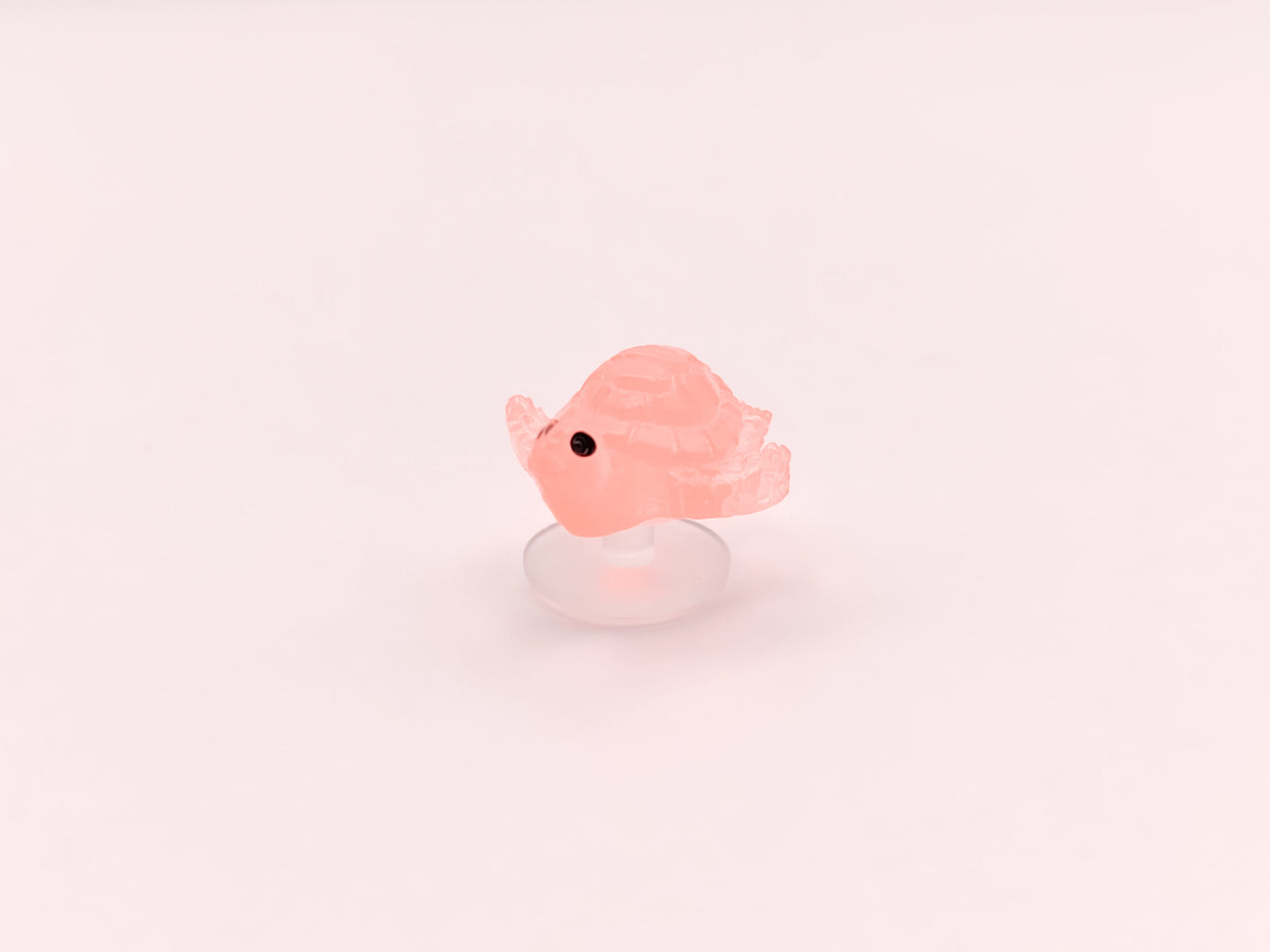 Mini Turtle Clog Charms