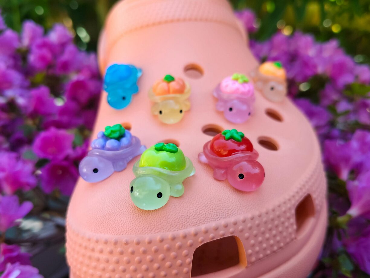 Fruit Turtle Clog Charms