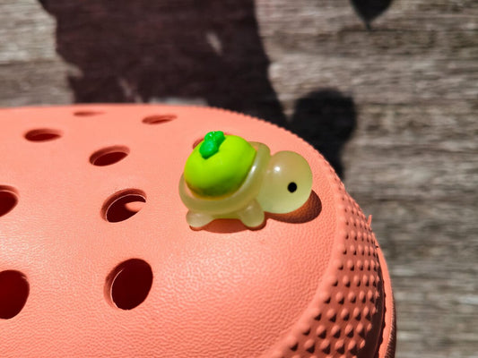 Fruit Turtle Clog Charms