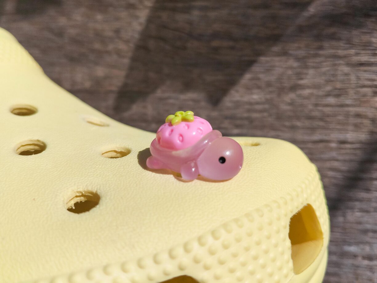 Fruit Turtle Clog Charms