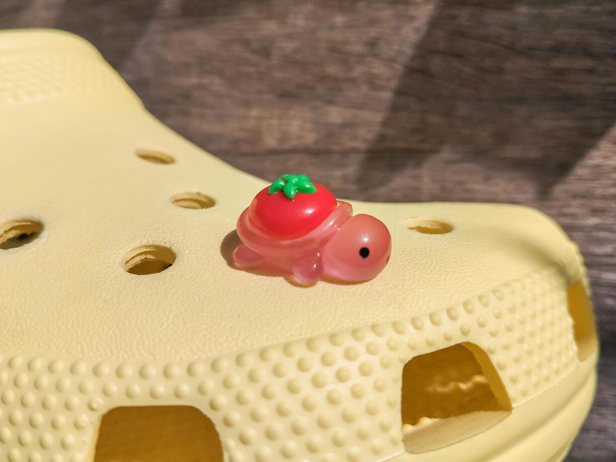 Fruit Turtle Clog Charms