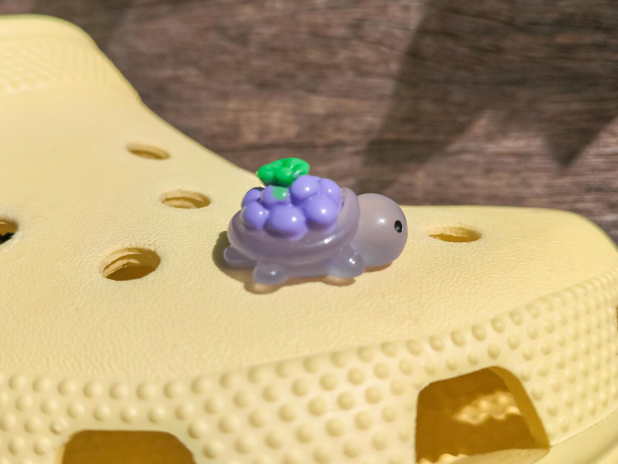 Fruit Turtle Clog Charms