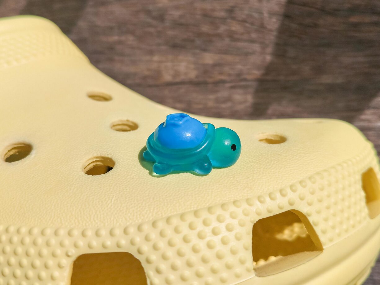Fruit Turtle Clog Charms