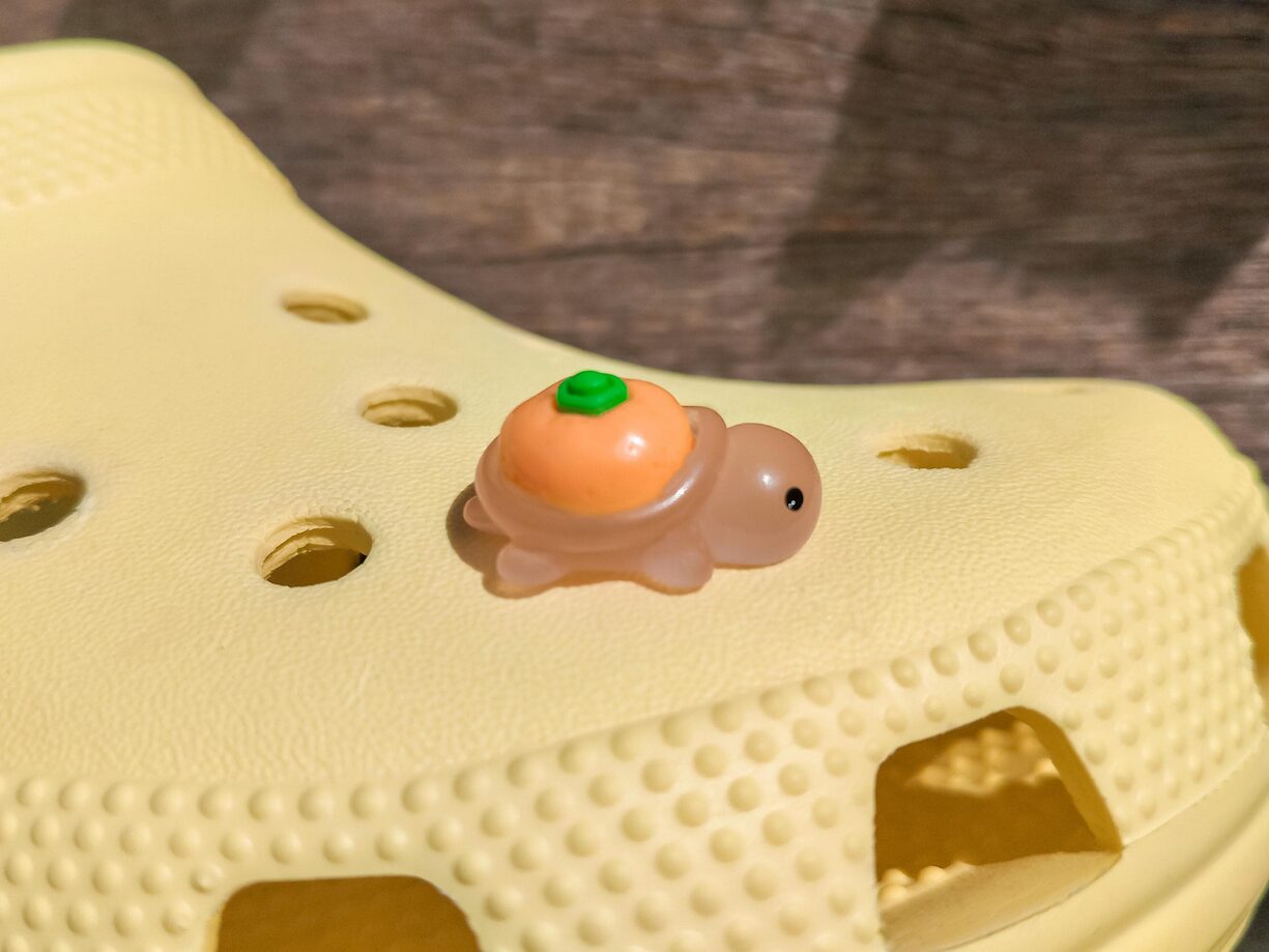 Fruit Turtle Clog Charms