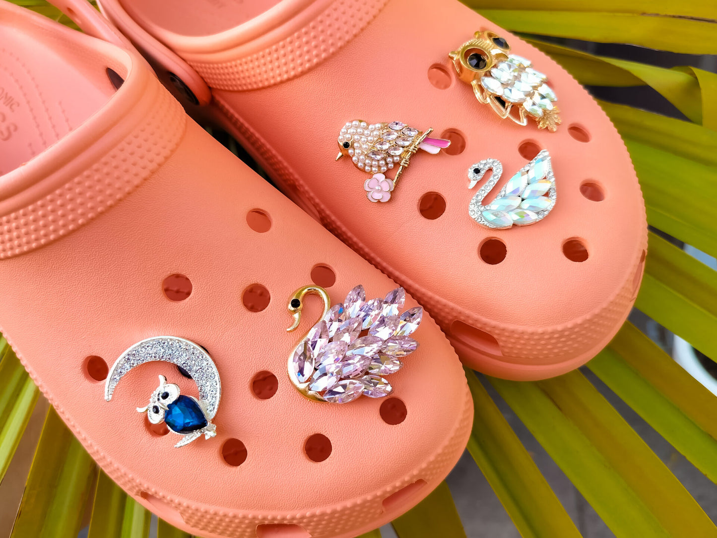 Crystal Bird Clog Charms