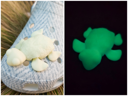 Flexi Turtle Clog Charms