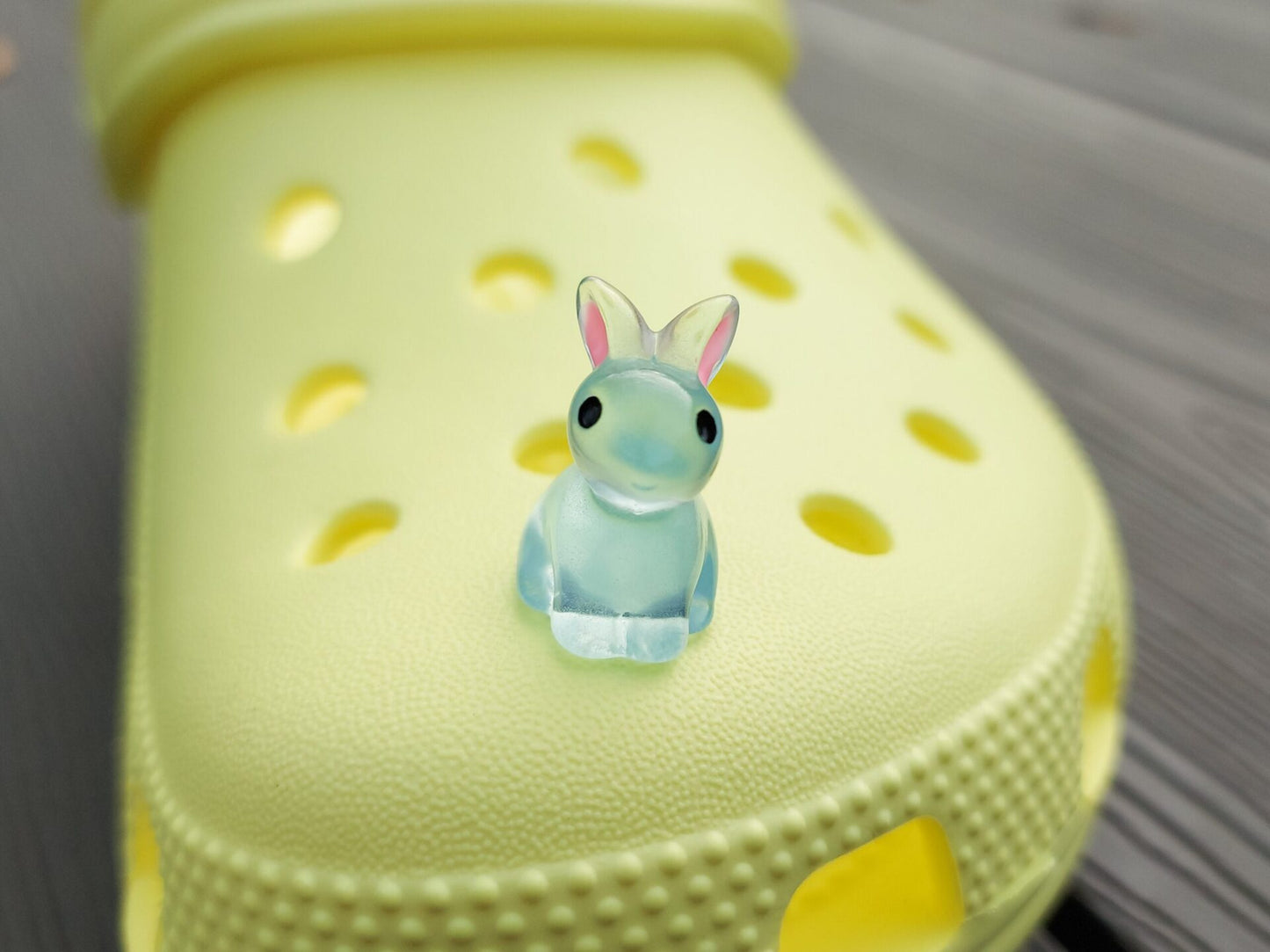 Bunny Clog Charms
