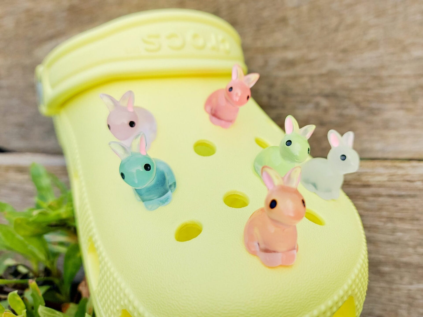 Bunny Clog Charms