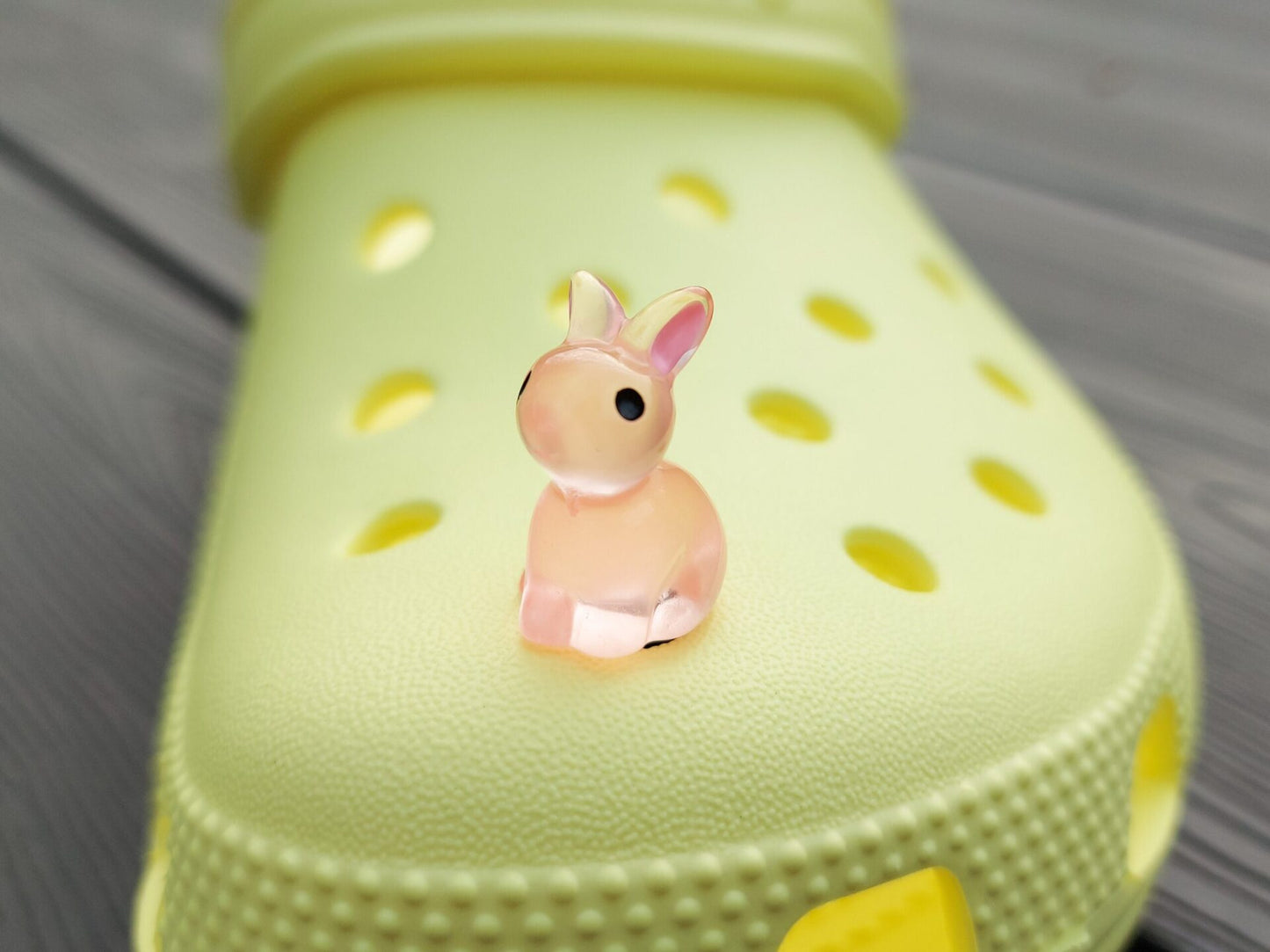 Bunny Clog Charms