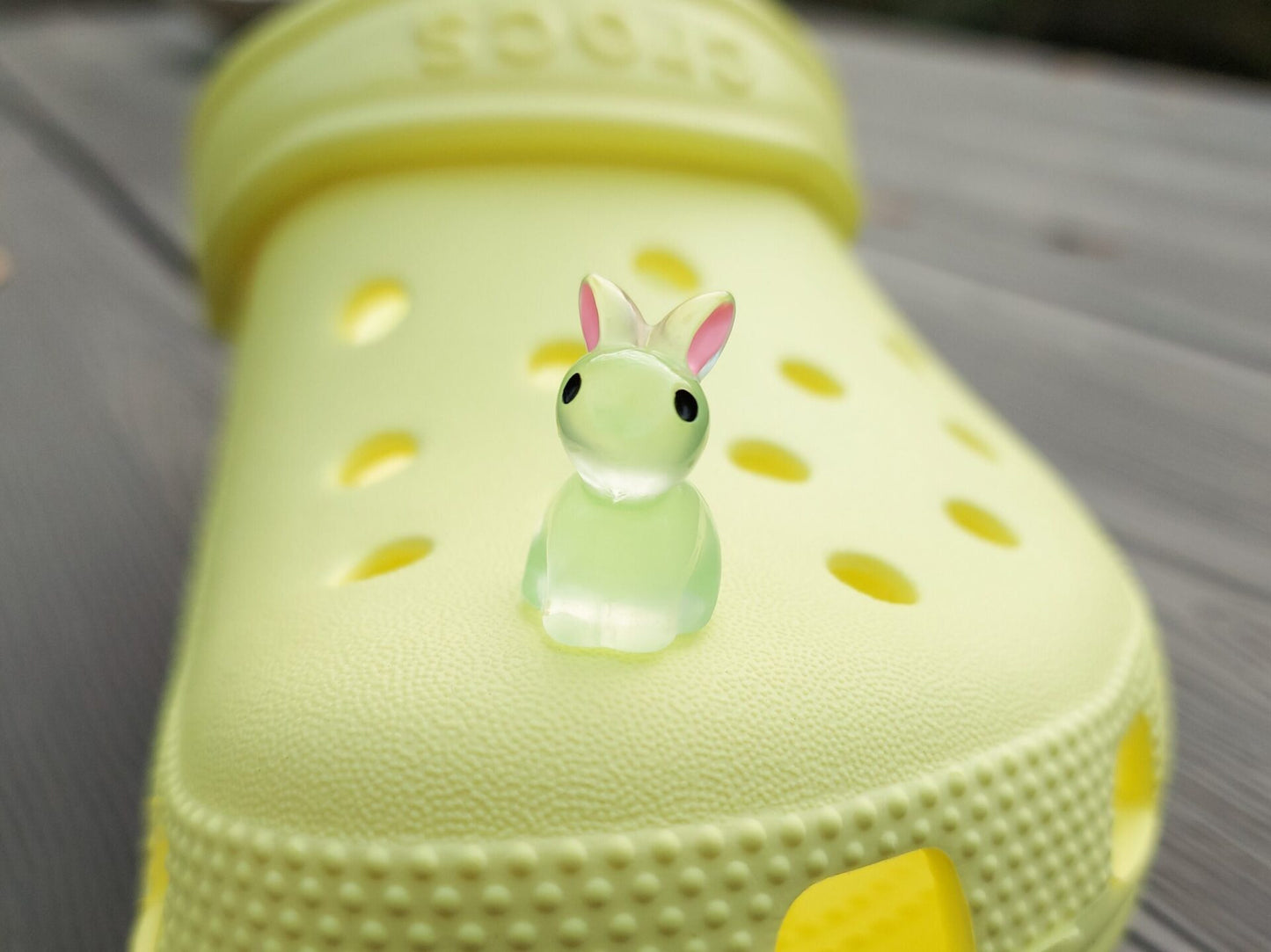 Bunny Clog Charms