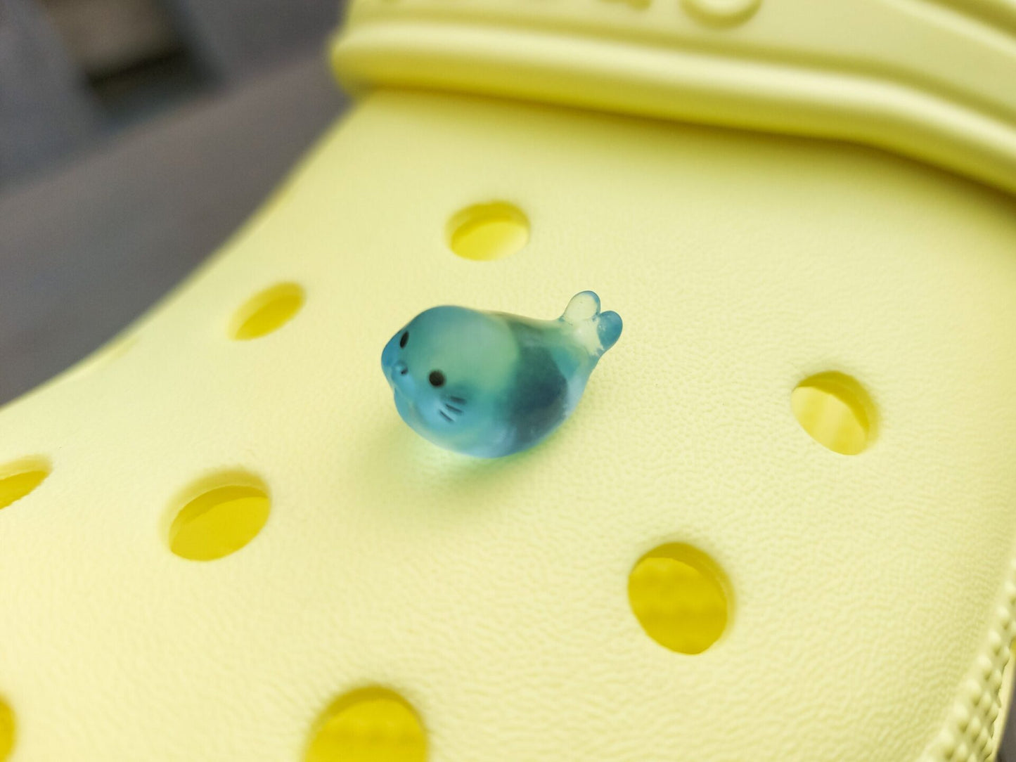 Glow in the dark seal shoe charms on a pair of shoes shoes. The seals are made of resin and are each in different playful positions.
