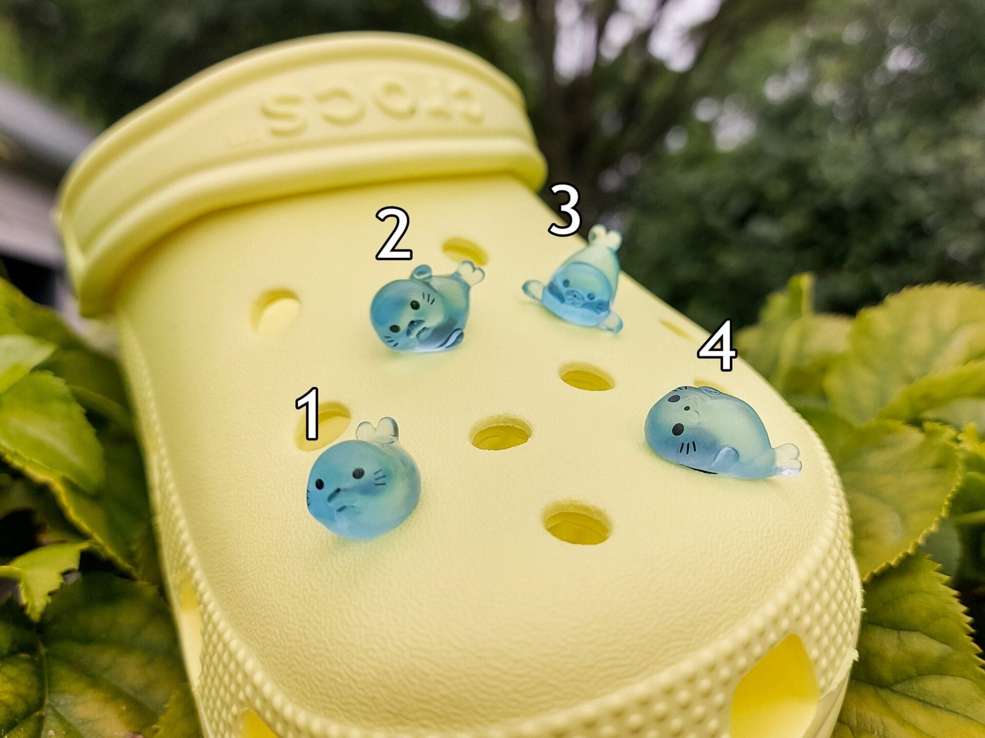 Glow in the dark seal shoe charms on a pair of shoes shoes. The seals are made of resin and are each in different playful positions.