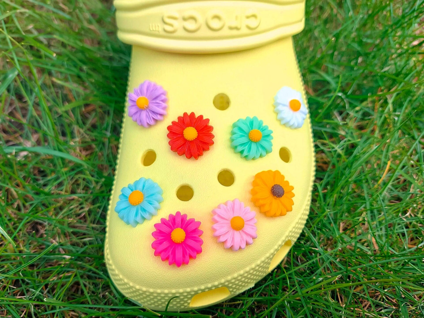 Daisy Flowers Clog Charms