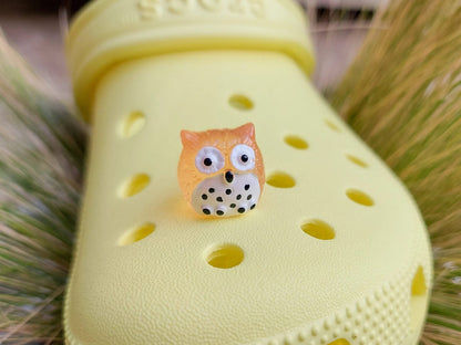Glow-in-the-dark owl shoe charms featuring small, colorful owls with wide eyes and feathered details. These cute owls glow brightly in the dark, adding a magical and whimsical look to your shoes, perfect for those who love nocturnal creatures.
