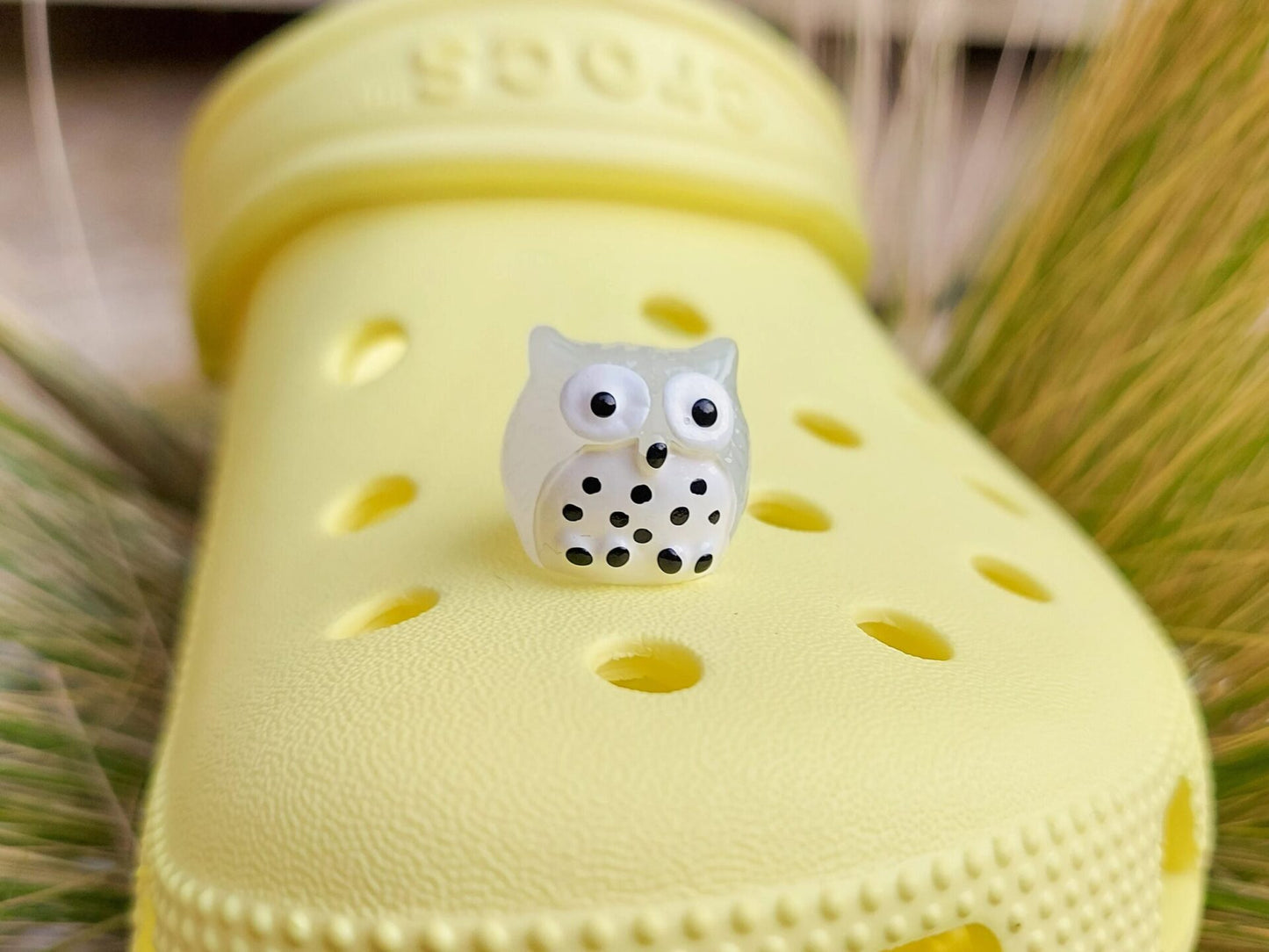 Glow-in-the-dark owl shoe charms featuring small, colorful owls with wide eyes and feathered details. These cute owls glow brightly in the dark, adding a magical and whimsical look to your shoes, perfect for those who love nocturnal creatures.