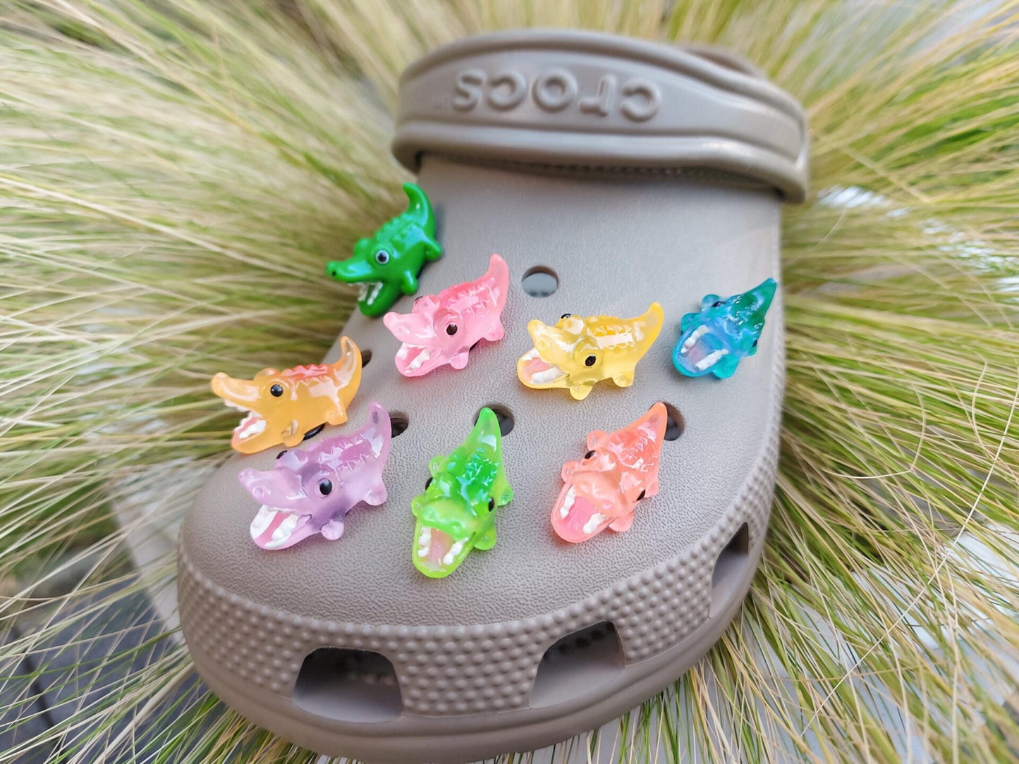 Crocodile Clog Charms
