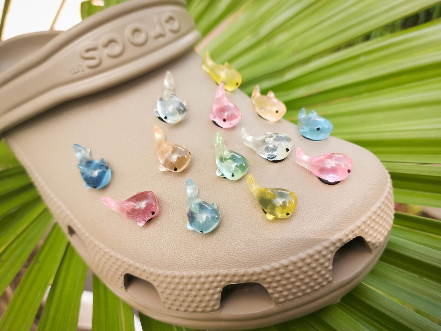 Shark Clog Charms
