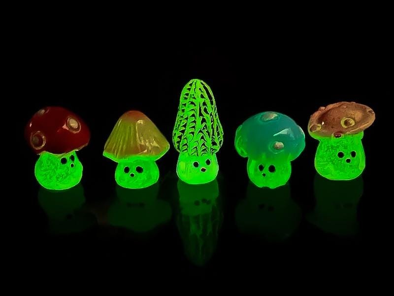 Glow-in-the-dark wild mushroom charms on a shoe shoe. These whimsical accessories light up in the dark, adding a magical and nature-inspired touch to your footwear. Perfect for customizing your shoes with a unique forest theme.