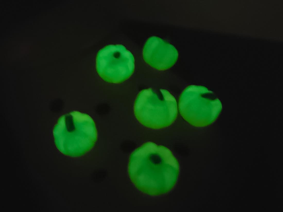 Kaki shoes adorned with small, glow-in-the-dark pumpkin charms, displayed against a brick wall background.