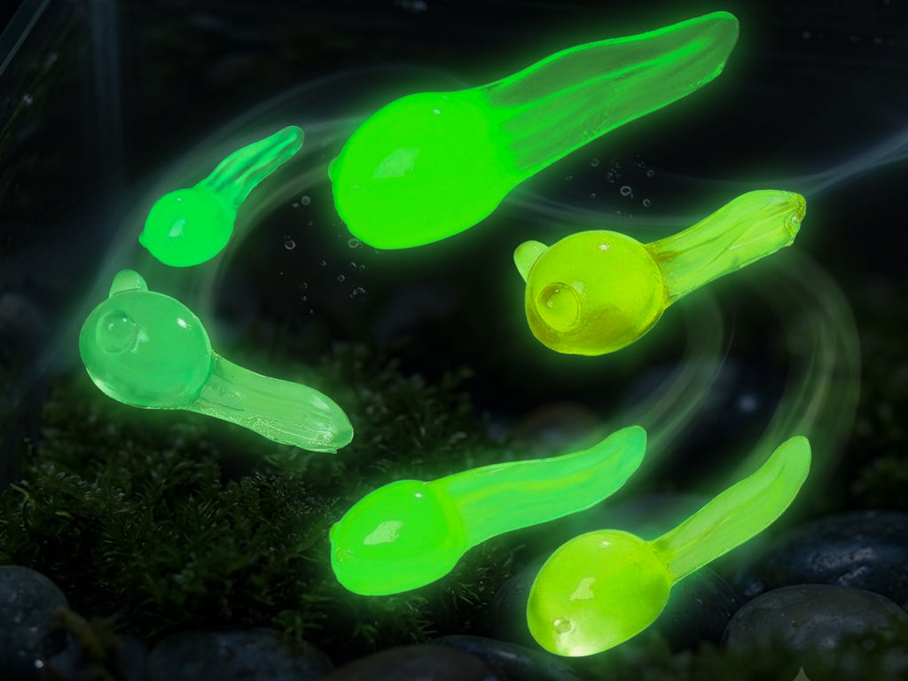 Tadpole Clog Charms