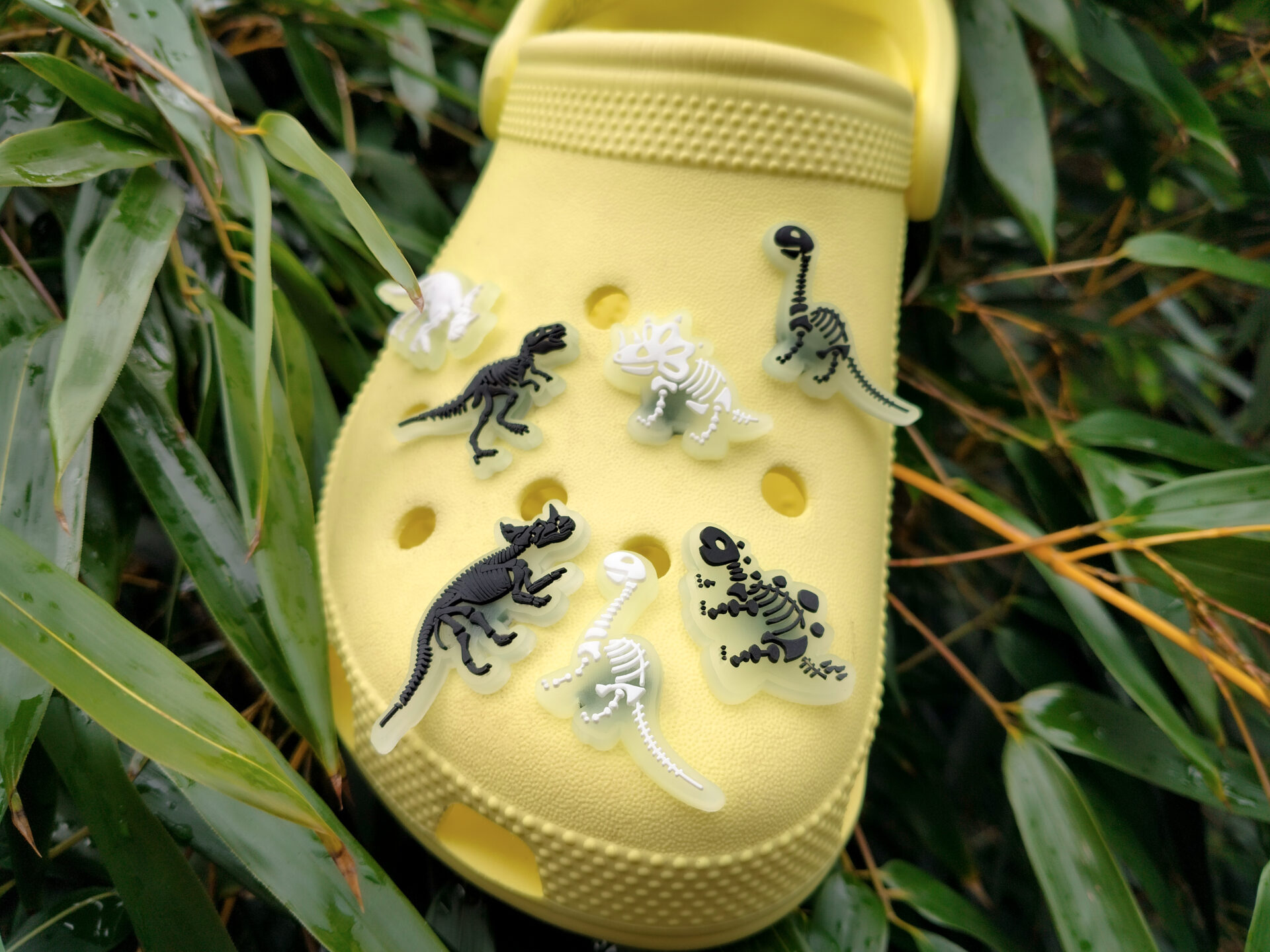 Dinosaur Skeleton Croc Charms