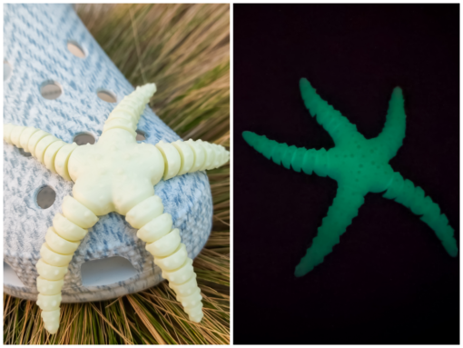 Flexi Starfish Croc Charm - Image 3