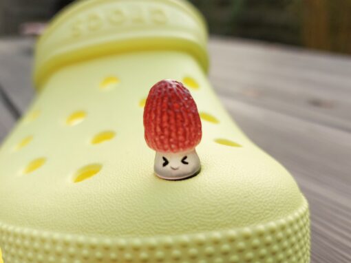 Glow-in-the-dark wild mushroom charms on a Croc shoe. These whimsical accessories light up in the dark, adding a magical and nature-inspired touch to your footwear. Perfect for customizing your Crocs with a unique forest theme.