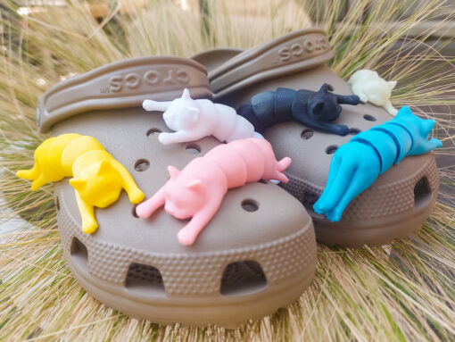 Flexi Cat Croc Charms