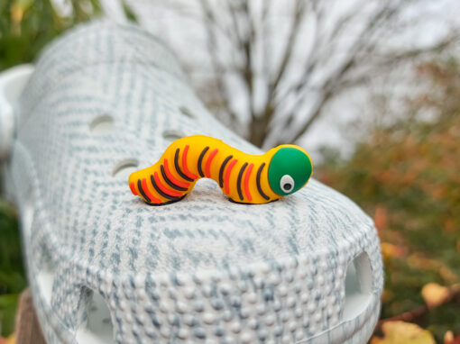 Rainbow & Nature Croc Charms - Image 4