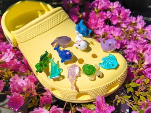 Sea Animals Shoe Charm 10pc Set