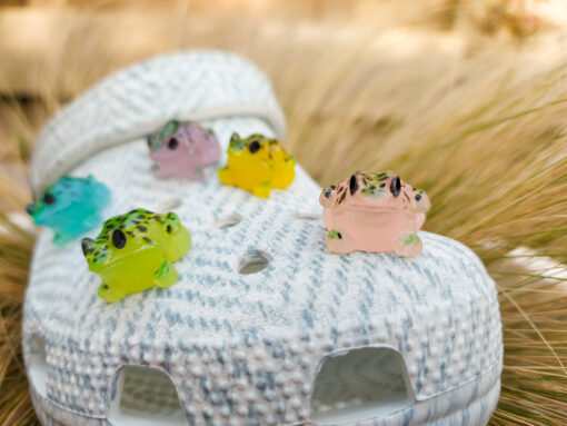 Frog Croc Charms
