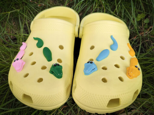 Crocodile 3D Croc Charms