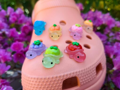 Fruit Turtle Croc Charms